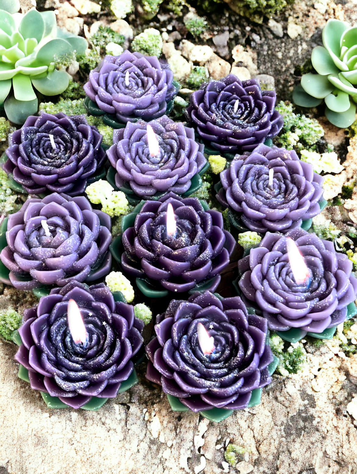 candle succulent class alexandria va Succulent Candle Set – Verucaz